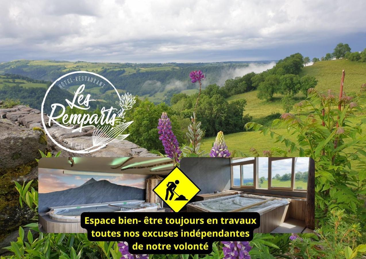 Logis Hotel Restaurant & Spa Les Remparts サレ エクステリア 写真